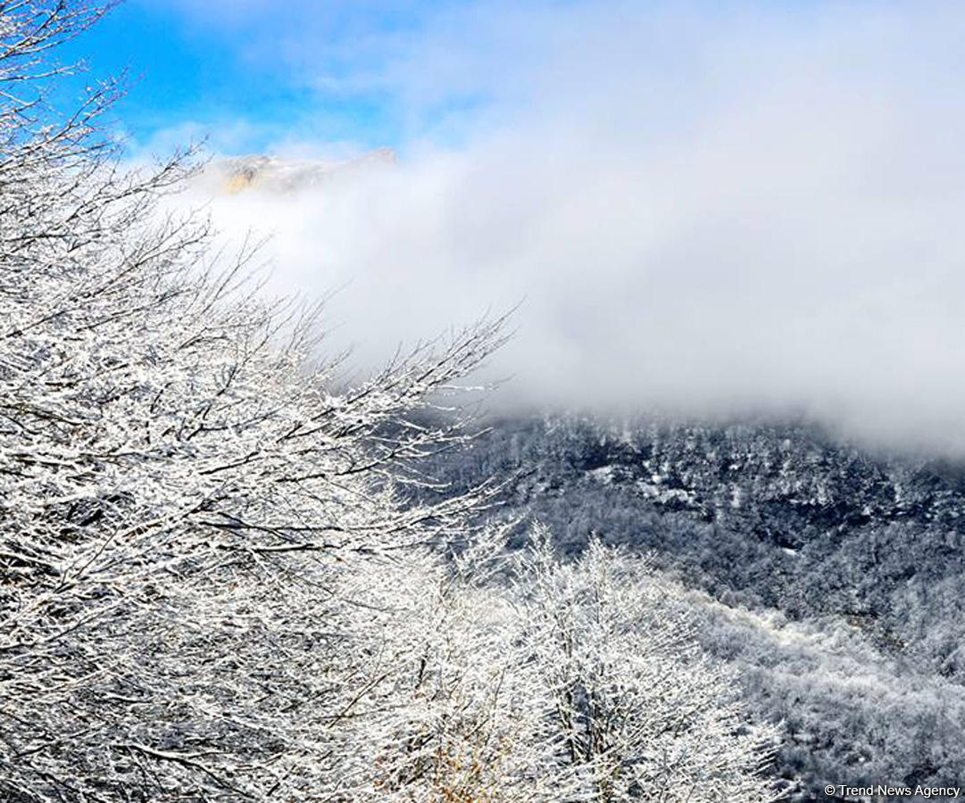 На севере Азербайджана выпал снег - фактическая погода