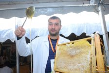 В Баку проходит очередная ярмарка меда (ФОТОРЕПОРТАЖ)