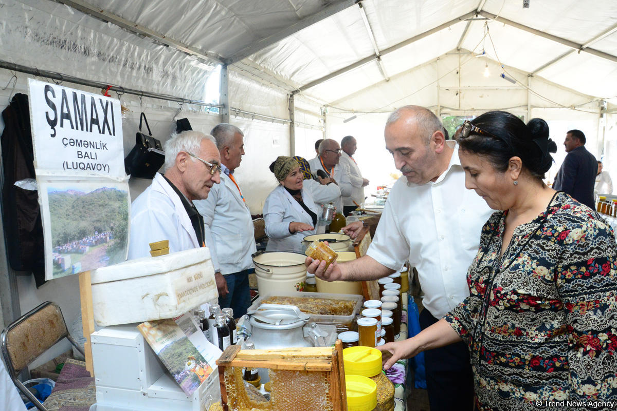 Bakıda növbəti bal yarmarkası - FOTOREPORTAJ