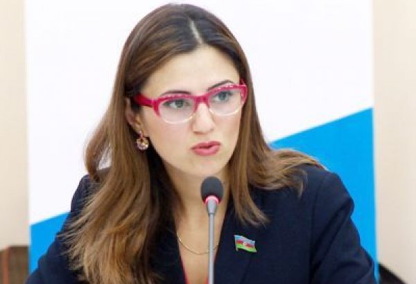 Севиндж Фаталиева: В Азербайджане нет ни одной сферы деятельности закрытой для женщин