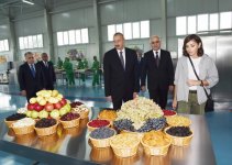Azerbaijani president, first lady attend inauguration of Gubaekoagrar agricultural plant (PHOTO)