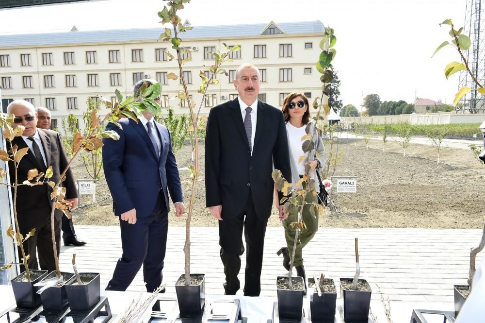 Azerbaijani president, first lady view sapling enterprise of Guba Scientific-Research Institute (PHOTO)