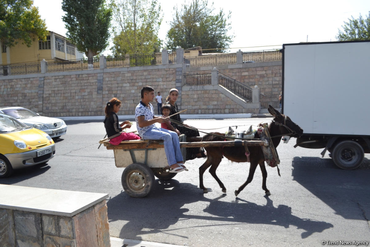 Азербайджанский путешественник в Самарканде -  на скорости в 230 км/час… (ФОТО)