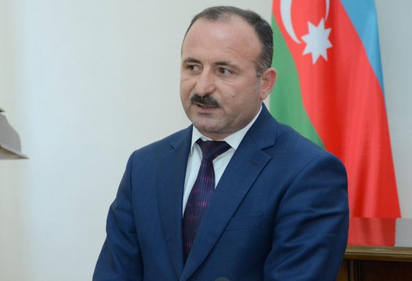 Azerbaijan represented at WEF as rapidly developing part of global economy