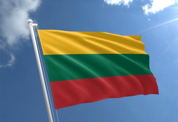 Lithuania to hold referendum on dual citizenship