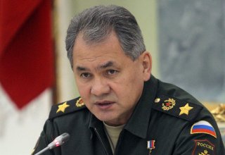 IS defeated in Syria with Russia's support - Sergey Shoigu