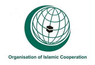 OIC calls for immediate withdrawal of Armenian army from occupied Azerbaijani lands