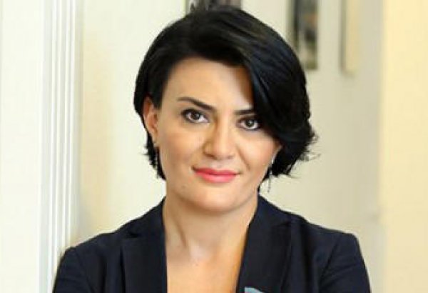 Deputat: Heç bir elektoratı olmayan radikal müxalifət xarici anti-Azərbaycan qüvvələrdən mədət umur