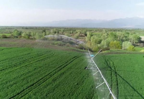 Volume of private investment allocated for Azerbaijan’s agricultural parks revealed