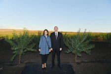 Президент Ильхам Алиев и Первая леди Мехрибан Алиева приняли участие в открытии Гахского агропарка (ФОТО)
