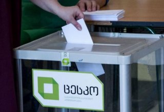 OSCE PA to observe parliamentary elections in Georgia