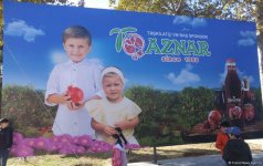 В Гёйчае  открылся красочный Фестиваль граната (ФОТО)