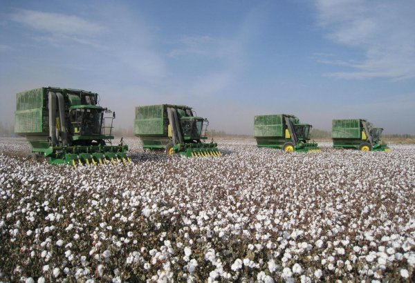 Agrobank allocates loans for cotton picking machines in Uzbek regions