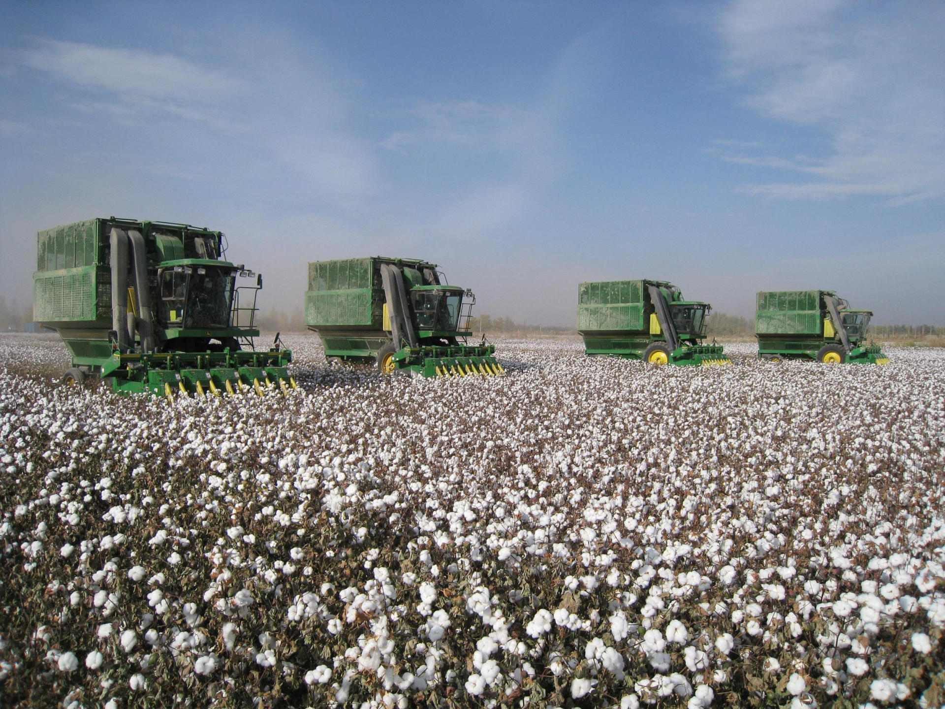 Turkmenistan increases cotton harvest plan for 2020