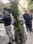 В Баку успешно прошла акция "Пусть каждая семья посадит по дереву" (ФОТО)
