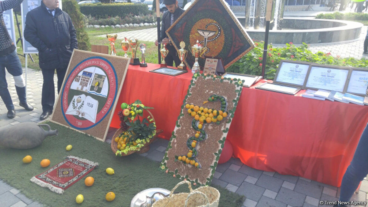 Lənkəranda ikinci Çay, çəltik və sitrus festivalı keçirilir (FOTO)