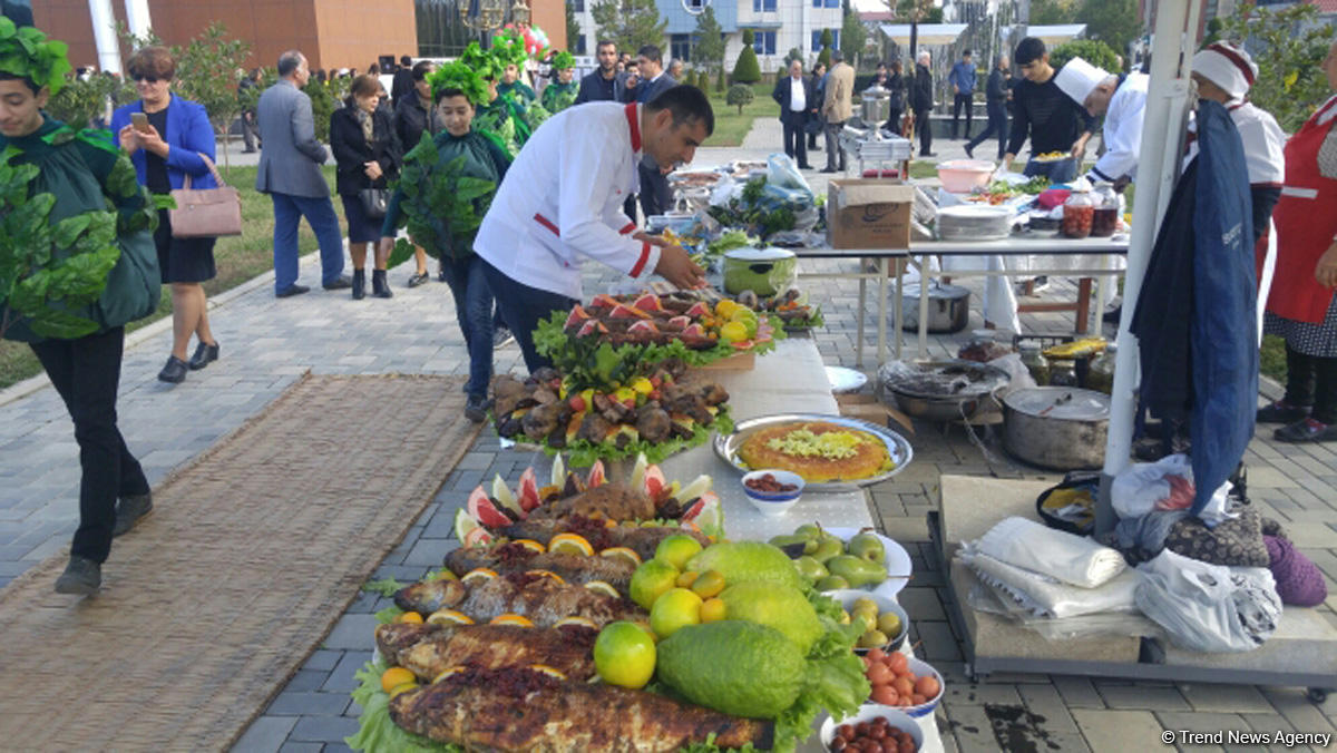 В Лянкяране проходит Фестиваль чая, чалтыка и цитрусовых (ФОТО)
