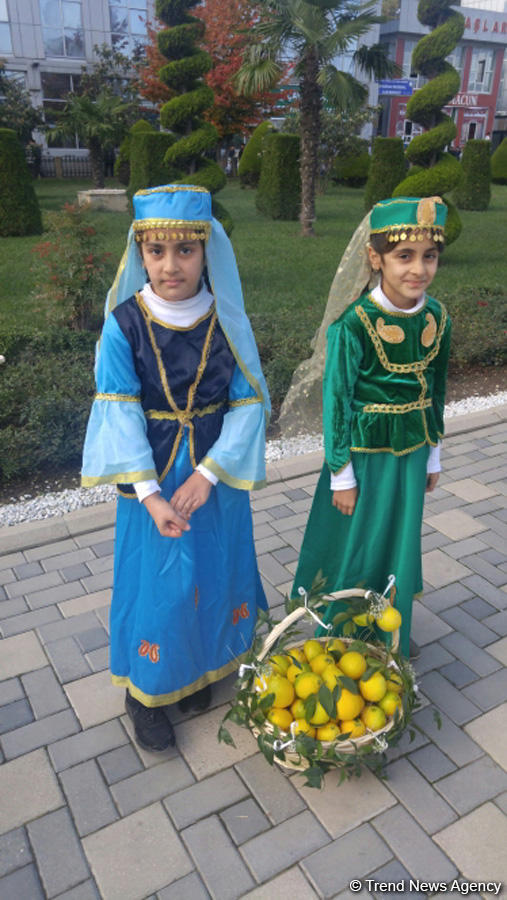 Lənkəranda ikinci Çay, çəltik və sitrus festivalı keçirilir (FOTO)