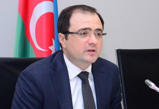 Азербайджан планирует организовать 25 экспортных миссий в 2019 году – замминистра
