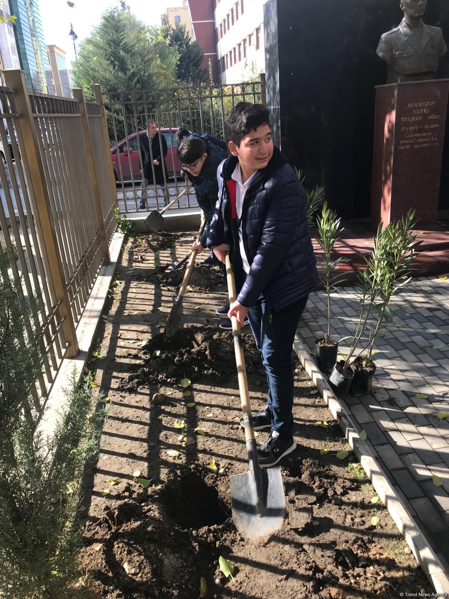 Воспитанники детсада и школьники посадили около 110 деревьев в Баку (ФОТО)