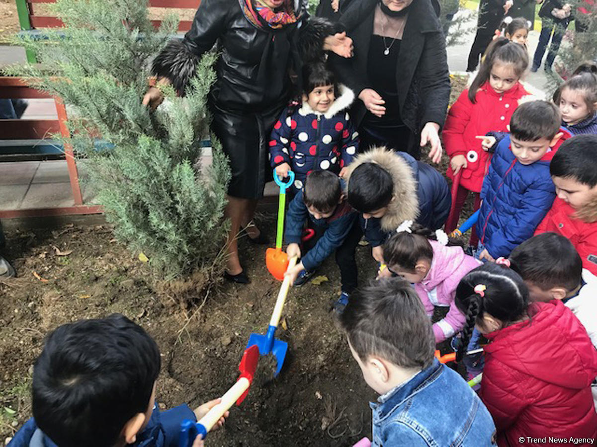 Воспитанники детсада и школьники посадили около 110 деревьев в Баку (ФОТО)