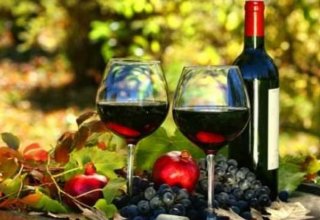 В Азербайджане предложили развивать винный туризм