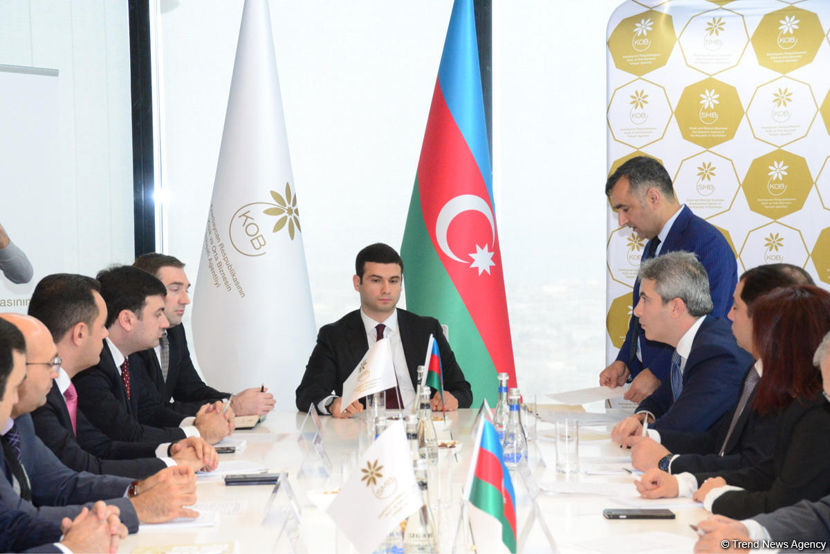 Public Council created under Agency for Development of SMEs in Azerbaijan (PHOTO)