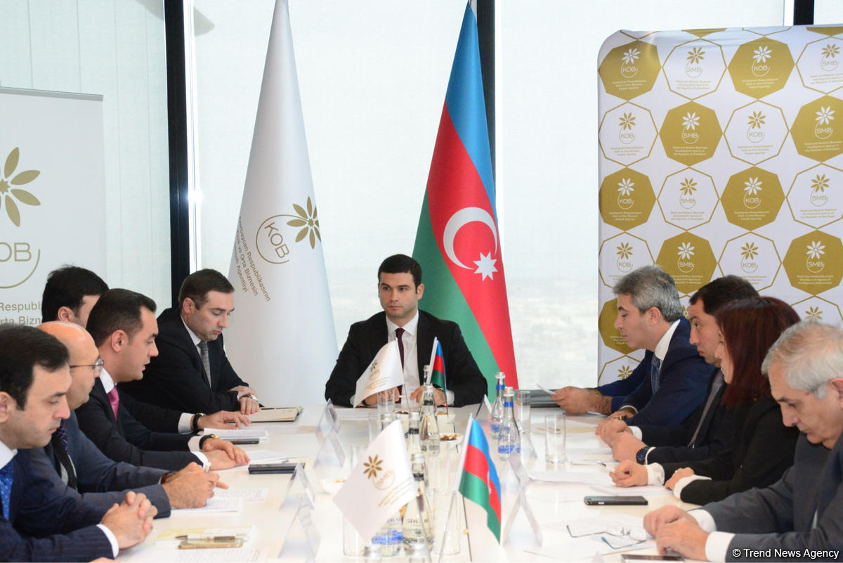 При Агентстве по развитию МСБ в Азербайджане создан Общественный совет (ФОТО)