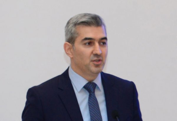 Использование территории Азербайджана для нелегальной миграции маловероятно - Вусал Гусейнов