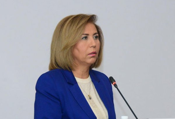 Бахар Мурадова: В заключительной декларации ПА ОБСЕ были обеспечены интересы Азербайджана