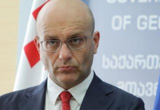 Georgian Finance Minister, Vice PM resigns
