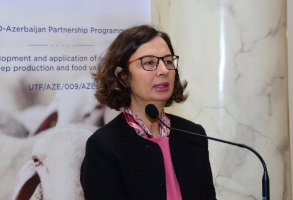 Azerbaijan one of most important partners of FAO (PHOTO)