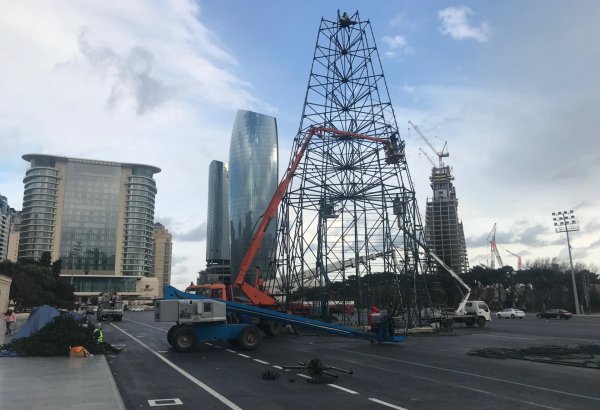 В Баку установят елку высотой в 37 метров (ФОТО)