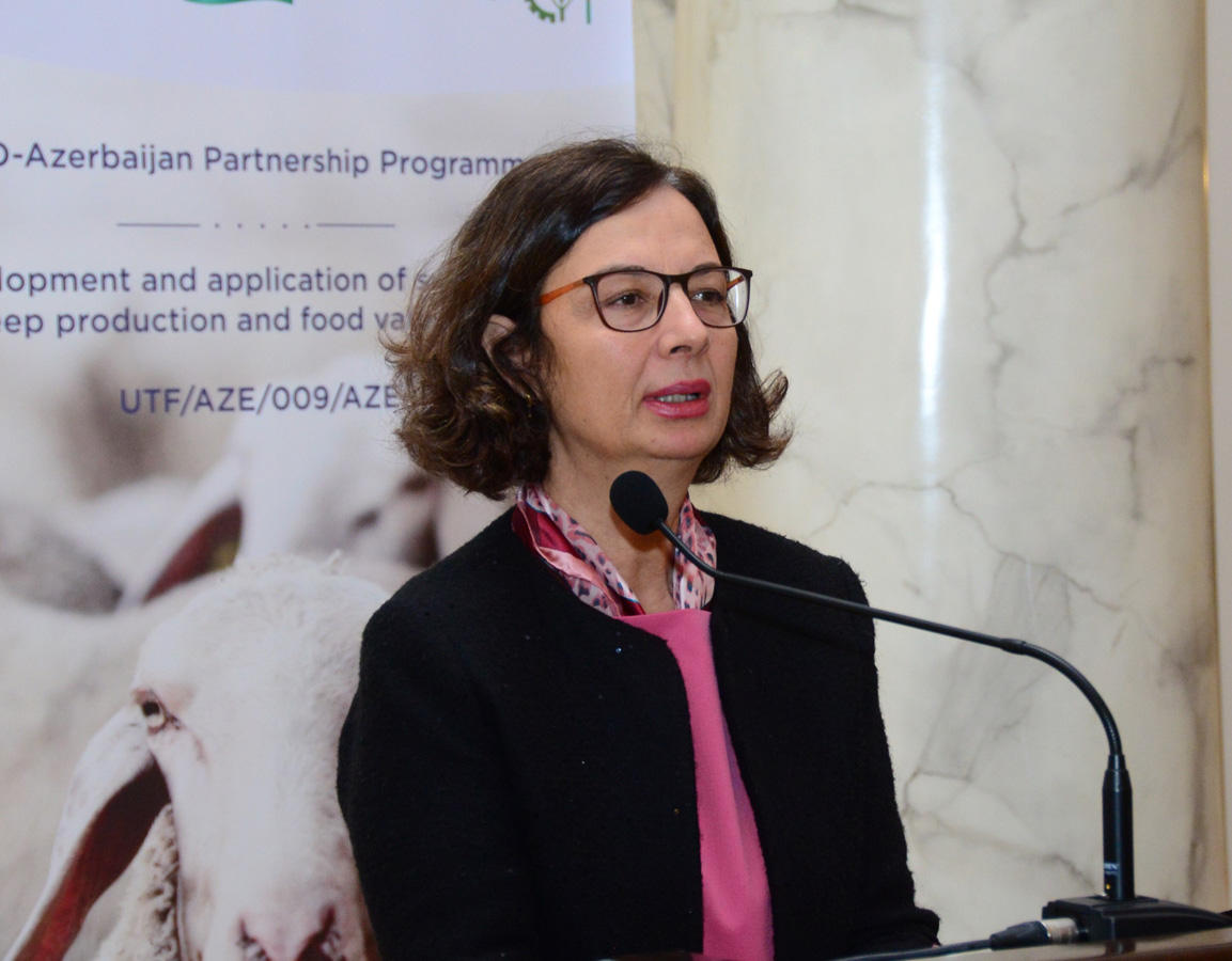 FAO talks about projects implemented in Azerbaijan