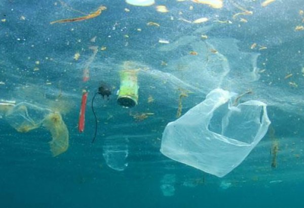 2050-ci ildə dünya okeanında plastik tullantıların miqdarı balıq sayından daha çox olacaq - PROQNOZ