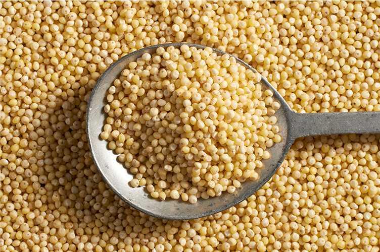 Iran imports over 5 mln tons of millet