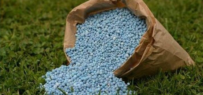 Iran to produce phosphate fertilizer