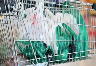 Kyrgyzstan to forbid production of plastic bags, items since 2027