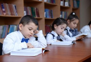 В Азербайджане прием детей в первый класс русского сектора может быть проведен в режиме онлайн