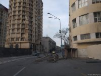 Сильный ветер в Баку повредил 16 деревьев (ФОТО)