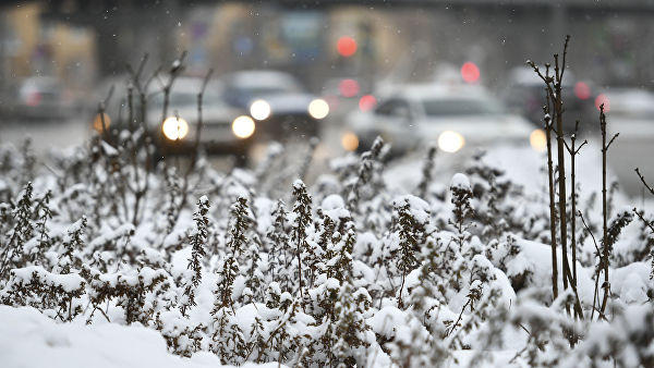 В Москве и области 15 января объявили "желтый" уровень погодной опасности