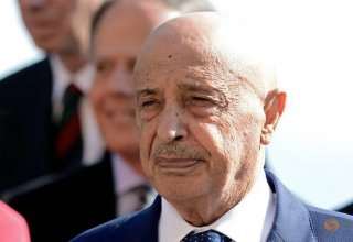 Libyan parliament speaker declares presidential bid