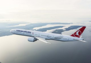 Самолет, выполнявший рейс Бишкек-Анталья, совершил внеплановую посадку в Баку