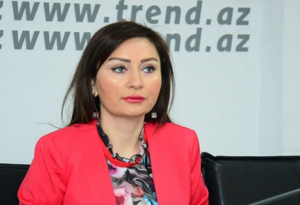 Азербайджанская молодежь способна успешно пропагандировать и представлять страну на международной арене - политолог
