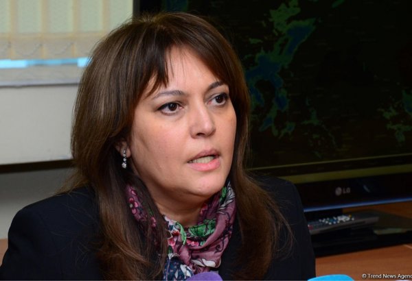 Umayra Tağıyeva: Avtomobillərin sayının azalması nəticəsində paytaxtda hava təmizlənib