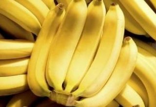 Turkmen enterprise intends to increase production of bananas