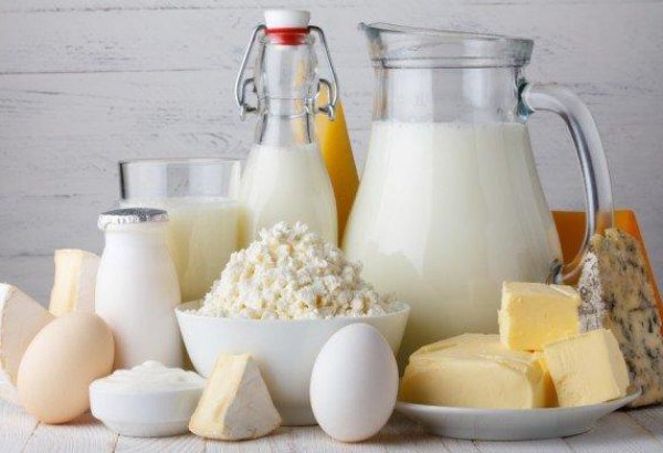 More private Turkmen companies manufacture dairy products