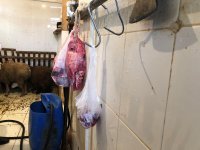 В Баку предупреждены владельцы около 20 пунктов незаконного забоя скота (ФОТО)