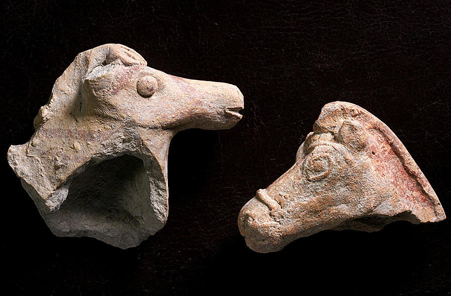В Израиле найдены фигурки лошадей первого тысячелетия до нашей эры