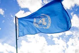 В ООН призвали власти Судана сотрудничать с МУС по аресту аль-Башира